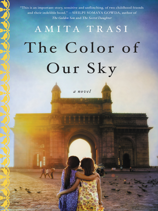 Title details for The Color of Our Sky by Amita Trasi - Wait list